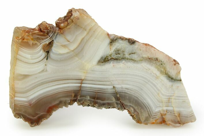 Polished Pilbara Agate Slice - Oldest Known Agate #353181